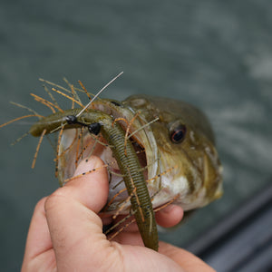 Weedless Wacky Shot