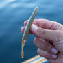 Slot Minnow