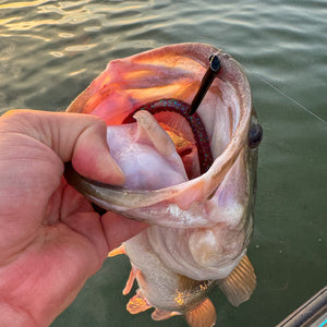 Ozark Rig