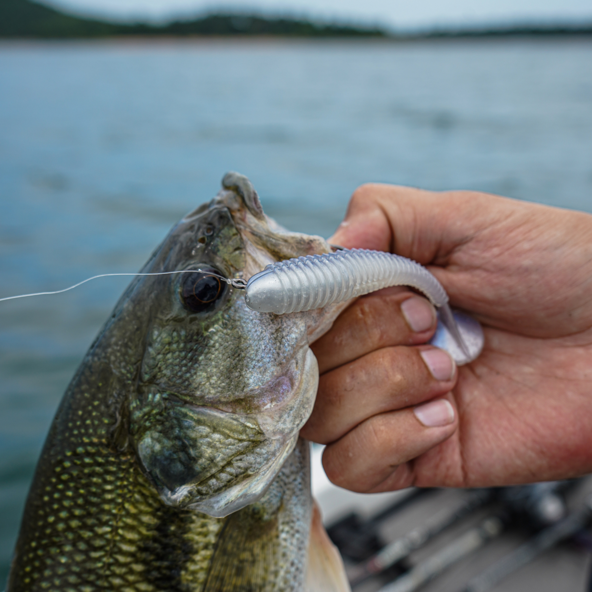 TUSH (The Ultimate Swimbait Hook)