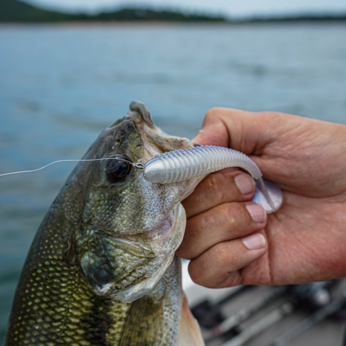 TUSH (The Ultimate Swimbait Hook)